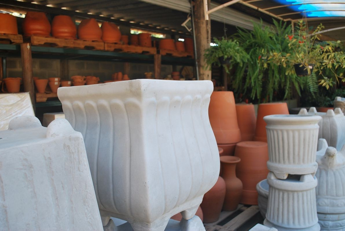Vasos e cachepot ideais para ambientes internos